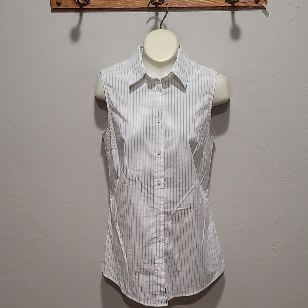 Banana Republic Blue and White Fitted Button Down Shirt